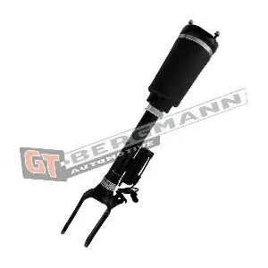 GT25-050 GT-BERGMANN