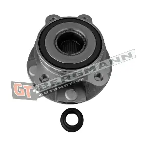 GT-BERGMANN GT24-163
