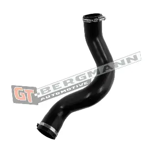 GT52-802 GT-BERGMANN