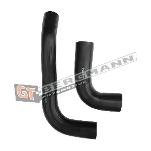 GT-BERGMANN GT52-516