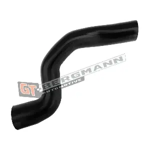 GT-BERGMANN GT52-683