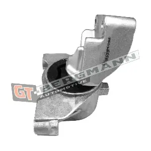 GT25-038 GT-BERGMANN