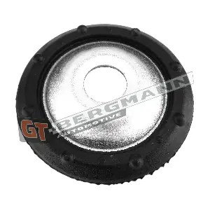 GT-BERGMANN GT25-040