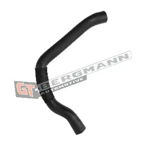 GT52-588 GT-BERGMANN