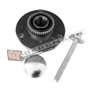 GT-BERGMANN GT24-085