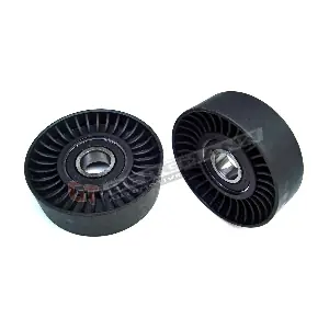 GT-BERGMANN GT51-021