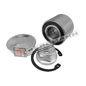 GT-BERGMANN GT26-033