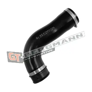 GT52-797 GT-BERGMANN