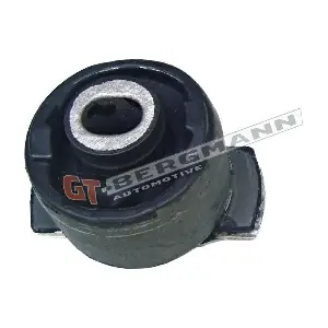 GT22-002 GT-BERGMANN