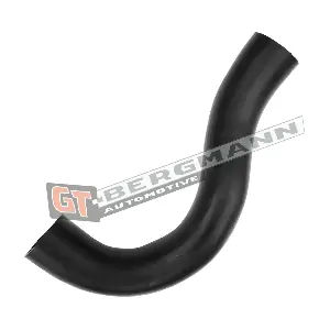 GT-BERGMANN GT52-552