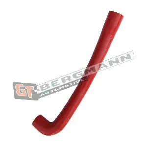GT-BERGMANN GT52-693