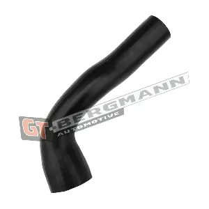 GT-BERGMANN GT52-499