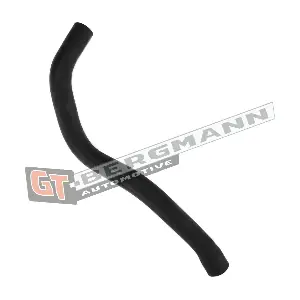 GT52-306 GT-BERGMANN