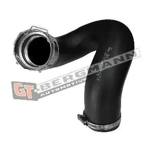 GT-BERGMANN GT52-818