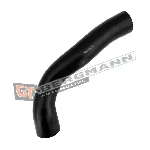 GT52-695 GT-BERGMANN