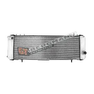 GT10-168 GT-BERGMANN