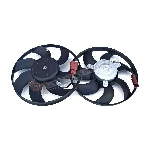 GT-BERGMANN GT13-002