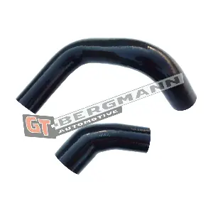 GT-BERGMANN GT52-164