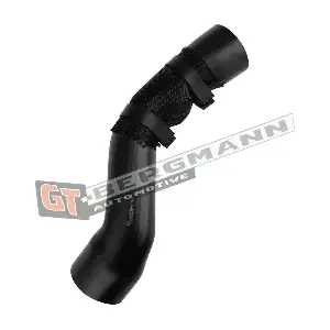 GT-BERGMANN GT52-663