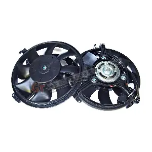 GT-BERGMANN GT13-012