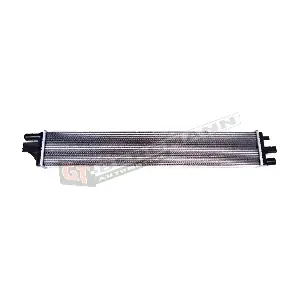 GT10-006 GT-BERGMANN