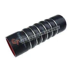 GT52-437 GT-BERGMANN