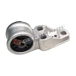 GT22-003 GT-BERGMANN