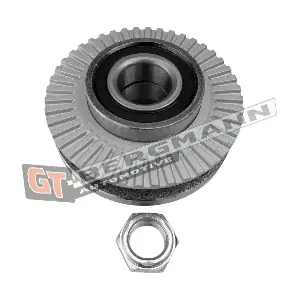 GT-BERGMANN GT24-152