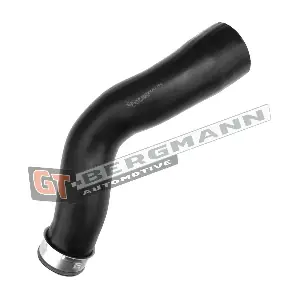 GT52-463 GT-BERGMANN