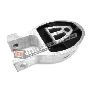 GT-BERGMANN GT25-007