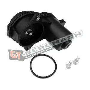 GT80-537 GT-BERGMANN