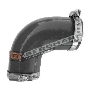 GT52-645 GT-BERGMANN