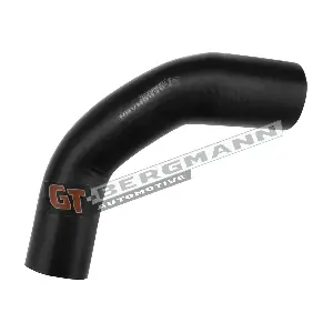 GT52-557 GT-BERGMANN