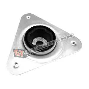 GT25-010 GT-BERGMANN