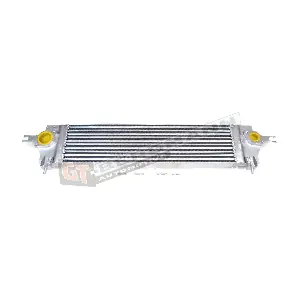 GT12-003 GT-BERGMANN