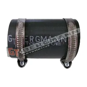 GT-BERGMANN GT52-725