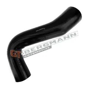 GT-BERGMANN GT52-696