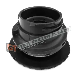 GT25-042 GT-BERGMANN