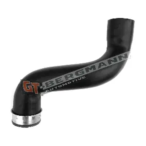 GT52-487 GT-BERGMANN