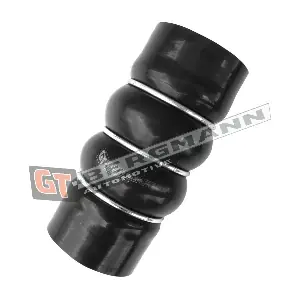 GT-BERGMANN GT52-539