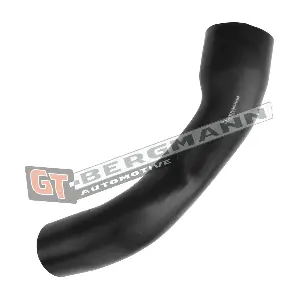 GT-BERGMANN GT52-615