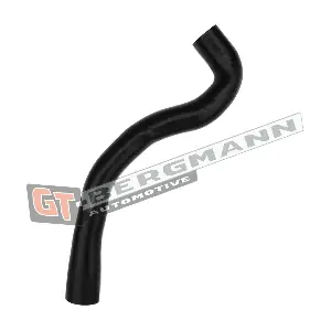 GT52-281 GT-BERGMANN