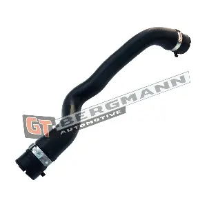 GT52-156 GT-BERGMANN