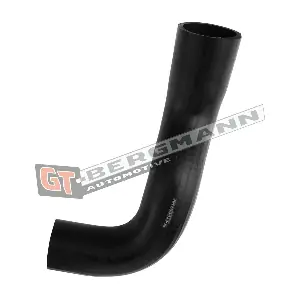 GT52-555 GT-BERGMANN