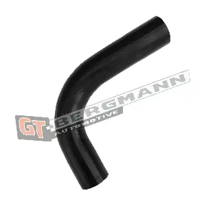 GT52-677 GT-BERGMANN