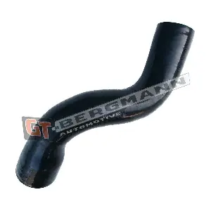 GT52-688 GT-BERGMANN