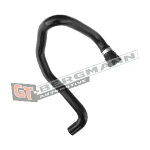 GT52-199 GT-BERGMANN