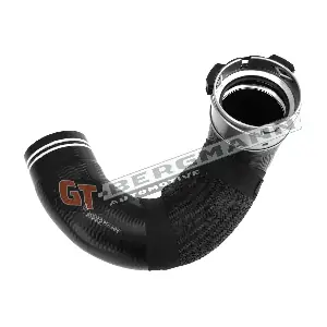 GT52-373 GT-BERGMANN