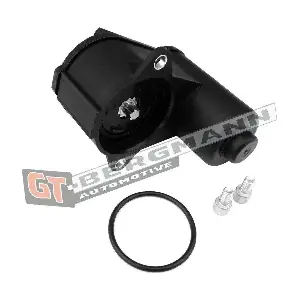 GT-BERGMANN GT80-535