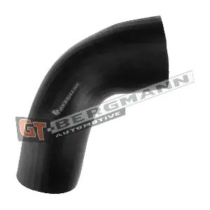 GT52-546 GT-BERGMANN